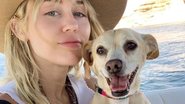 Miley Cyrus e Bean, seu cachorrinho vira-lata adotado em 2011 - Foto/Destaque Instagram